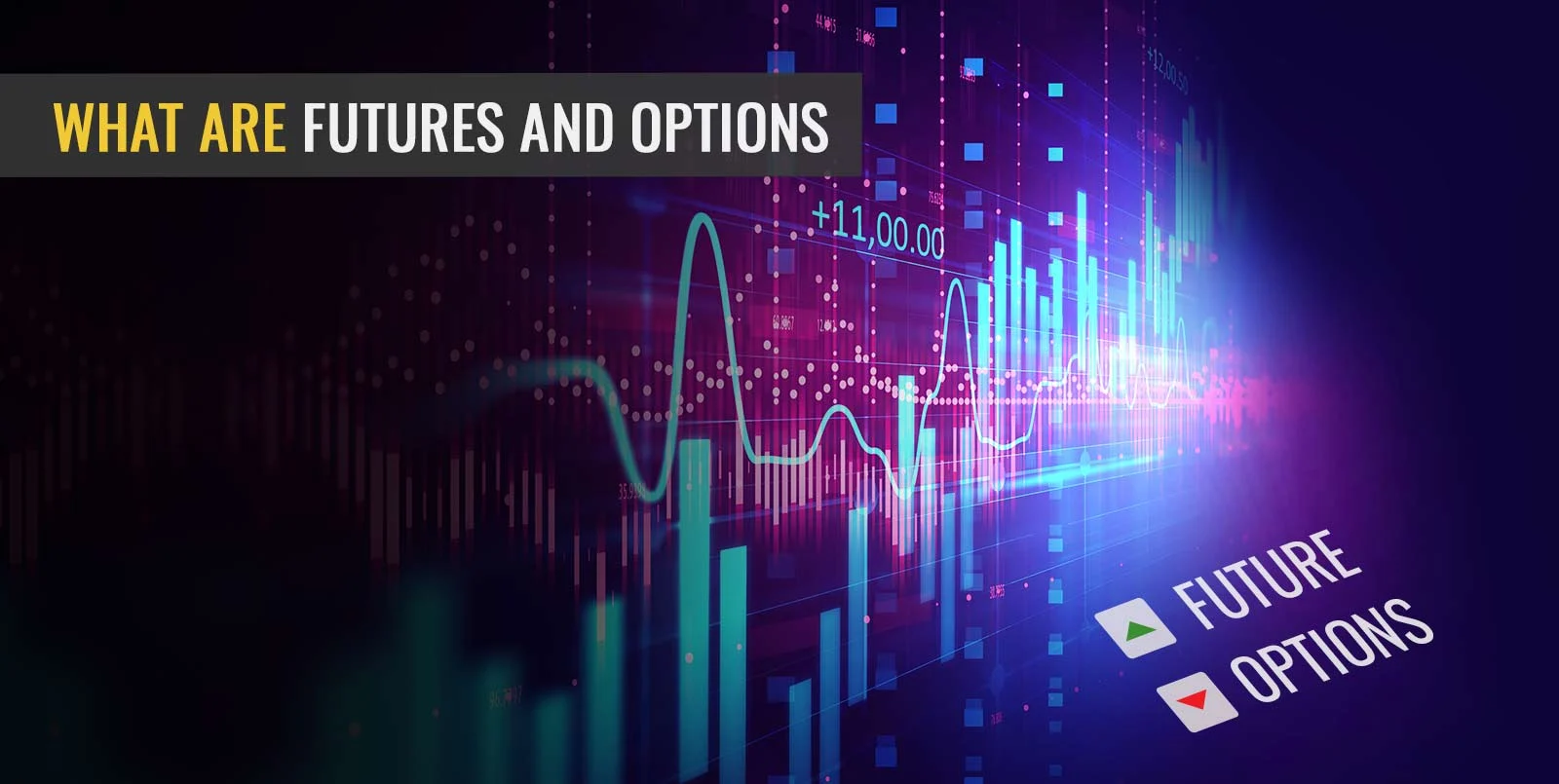 What are Futures and Options in Share Market